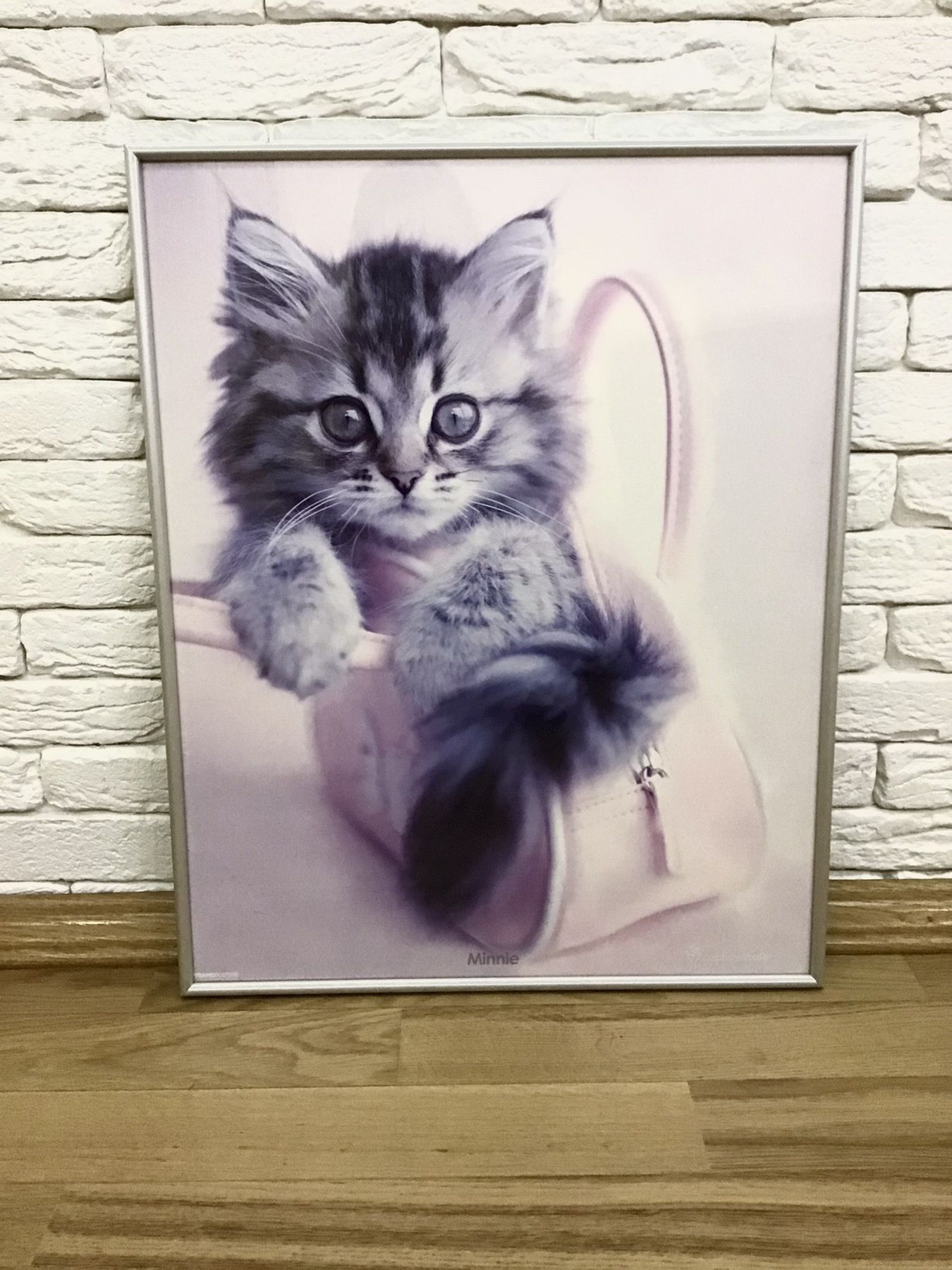 Картина кошеня в сумці minnie Barth kunst in lijsten