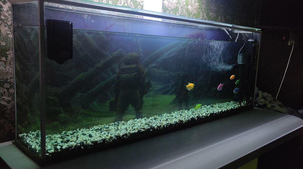 Аквариум 120 літрів