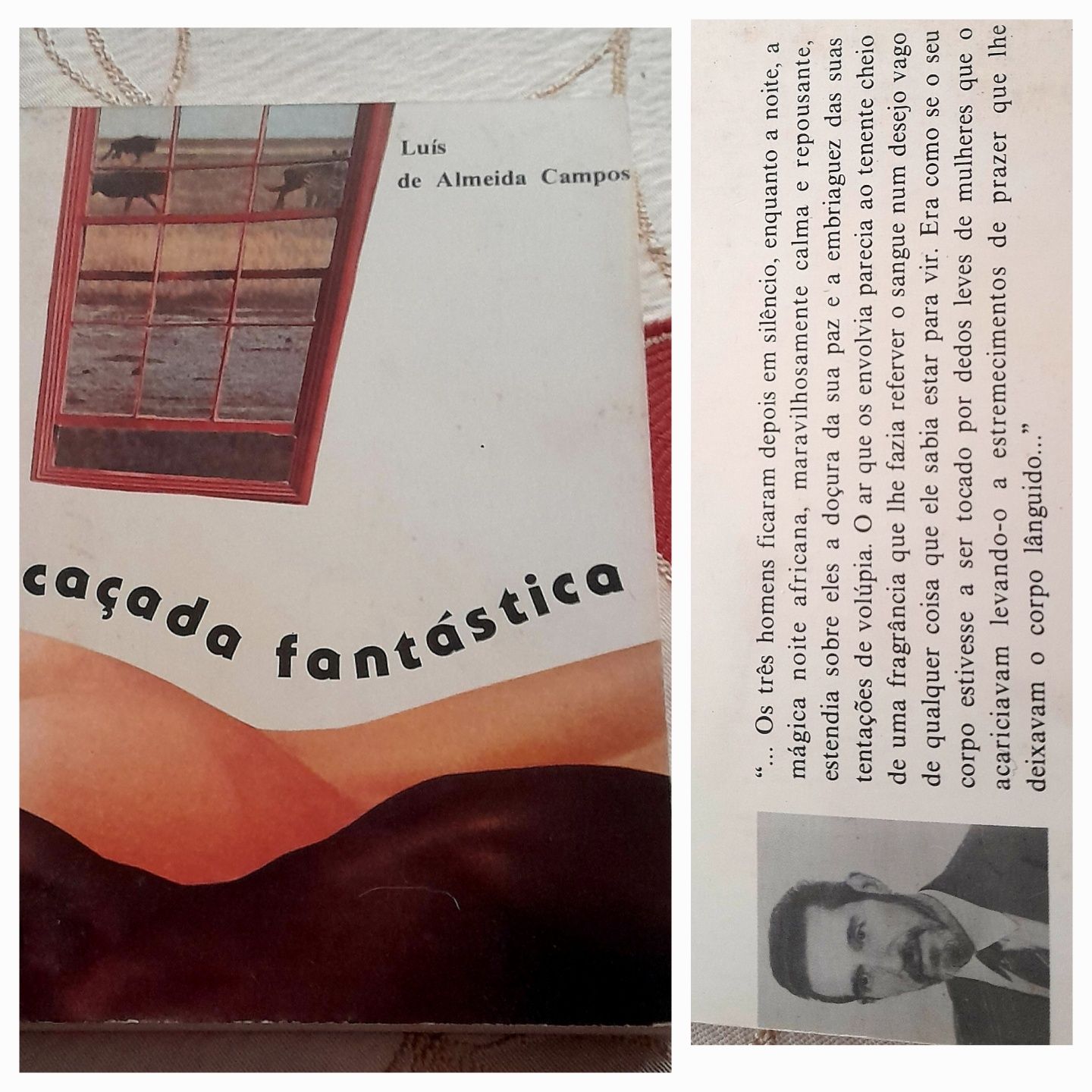 Livros relacionados com África