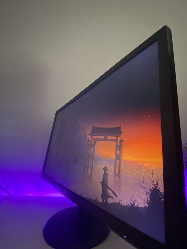 Monitor HP 24” 60hz