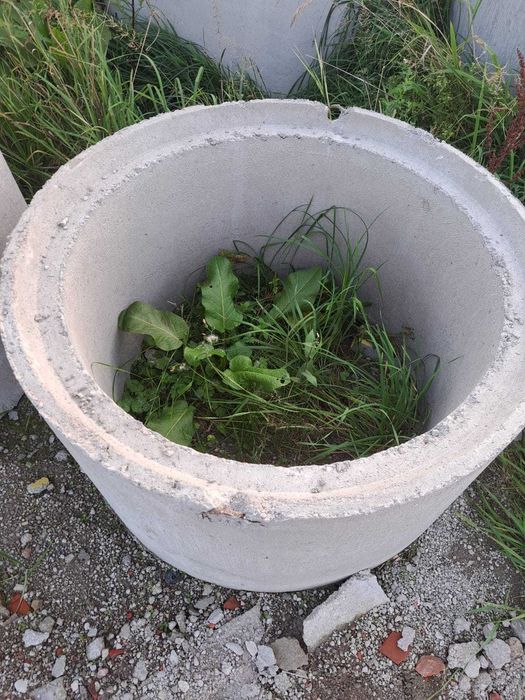 Kręgi betonowe 80×50 – szamba, studnie – HDS dostępny