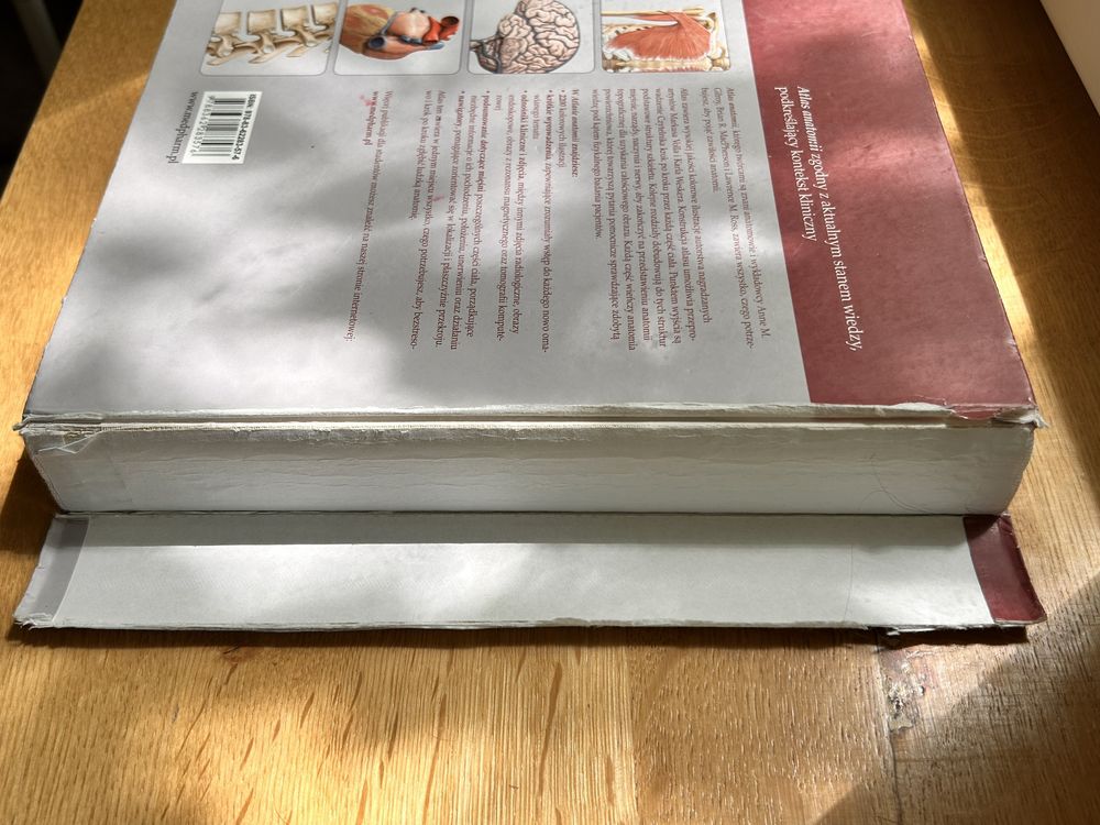 Atlas anatomii Gilroy, atlas do kolorowania Netter i fiszki