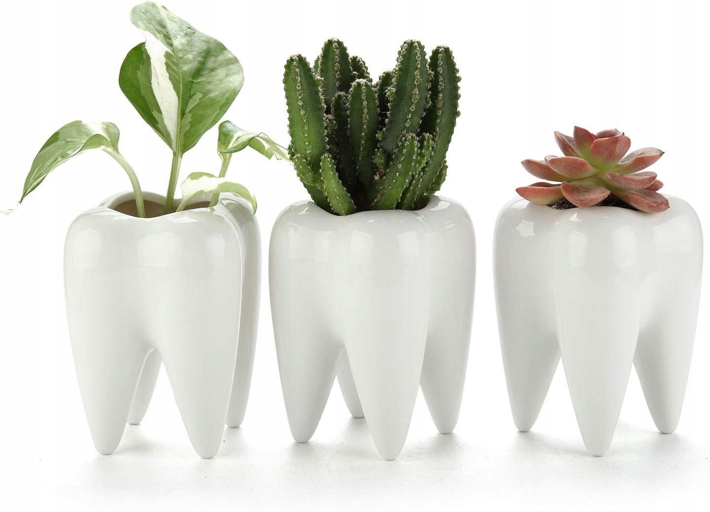 Doniczki na sukulenty ZABAWNE doniczki na kaktusy, ceramiczne