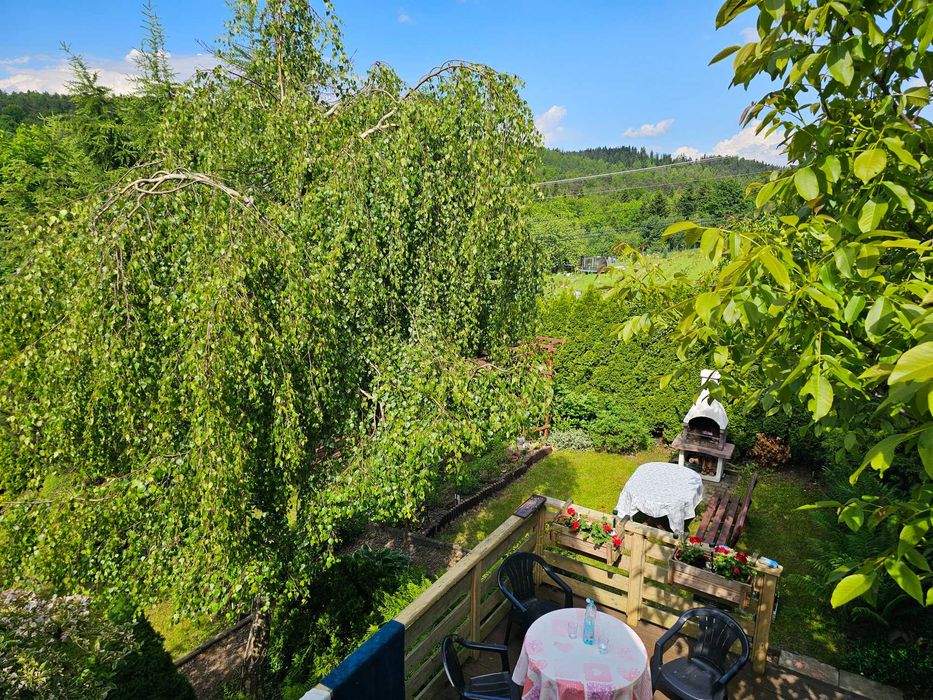 Leśna Chata okolice Energylandii, Beskid Mały- wolne od 13 pazdzierni