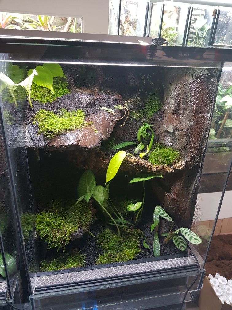 Terrarium tropikalne aktywne biologiczne z wodospadem