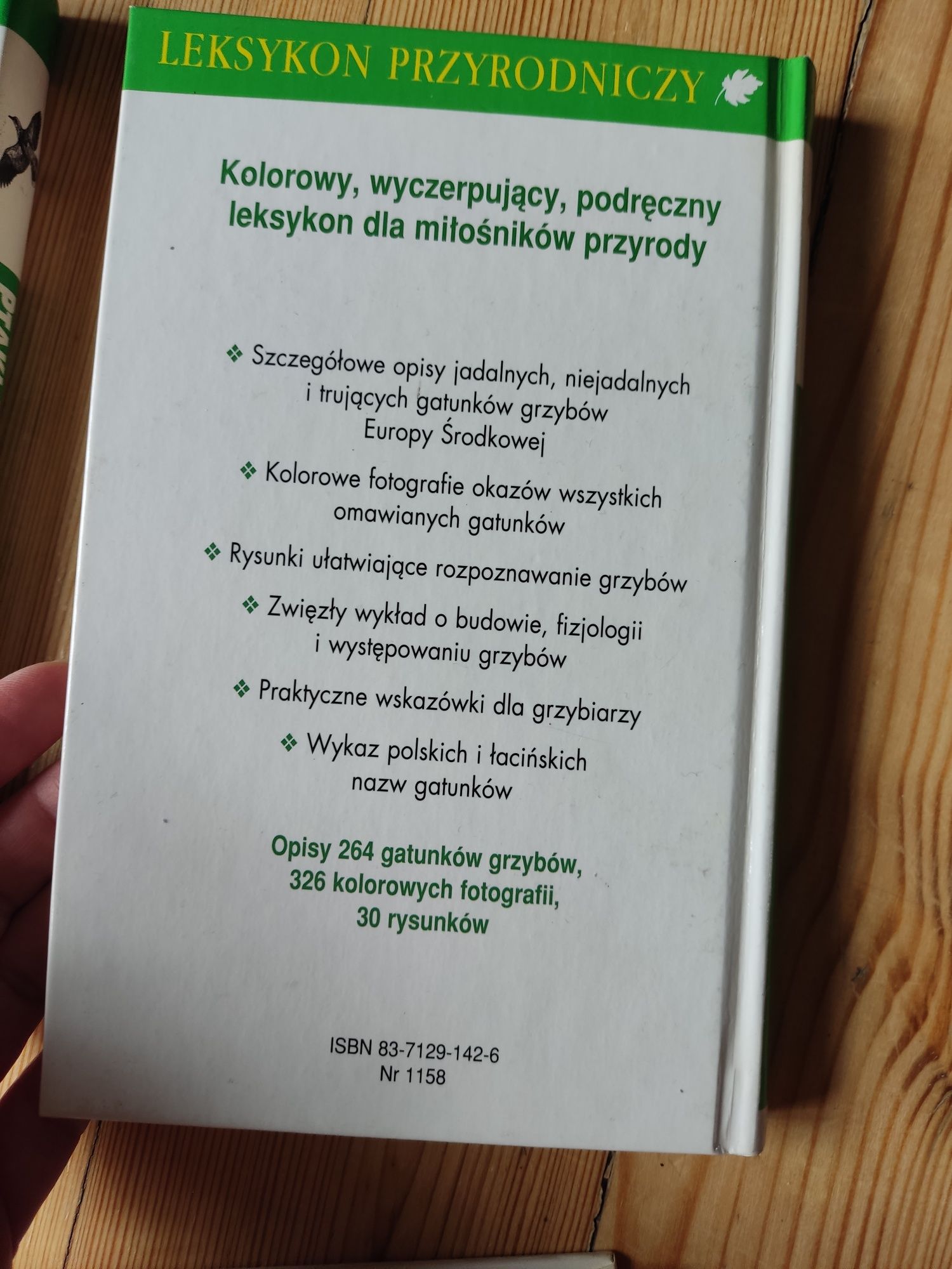 Grzyby leksykon przyrodniczy