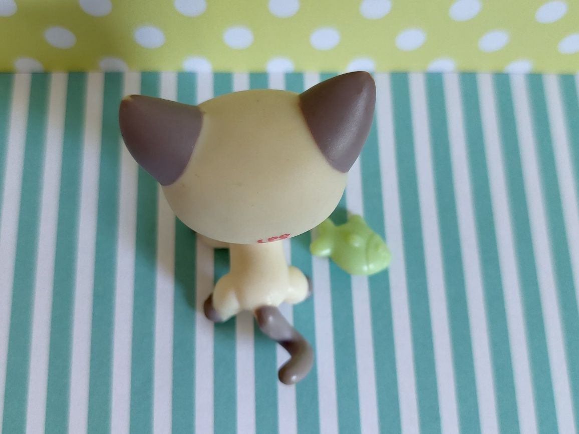 Littlest Pet Shop LPS unikatowy kot Shorthair #1116 pop