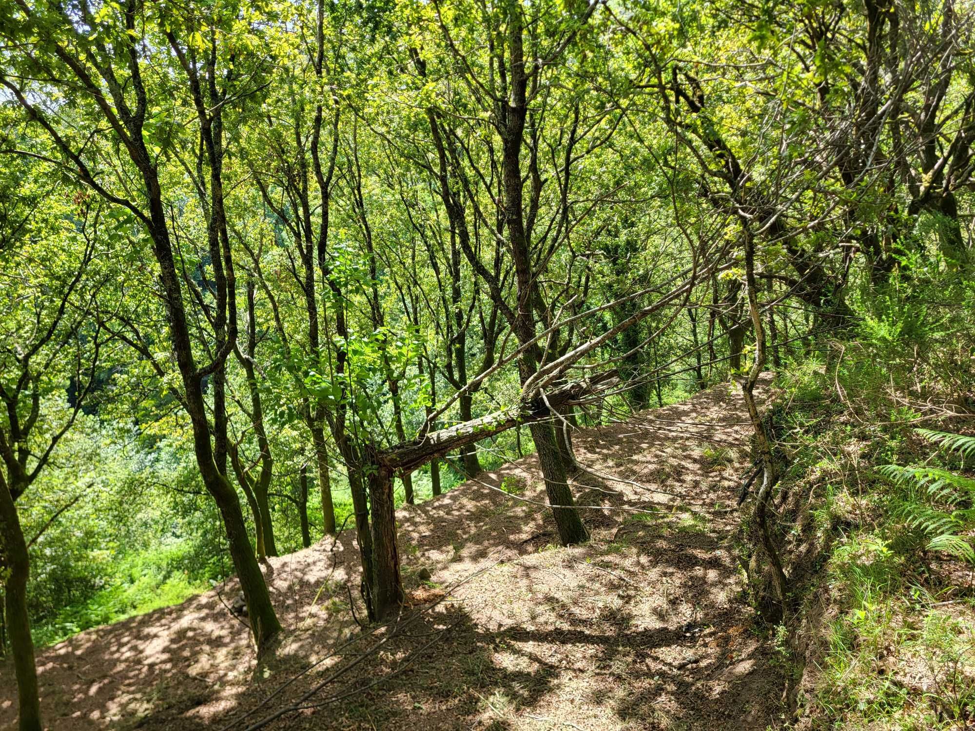 Terreno no Gerês com Ruína e Mina 3 Artigos 8.100m²