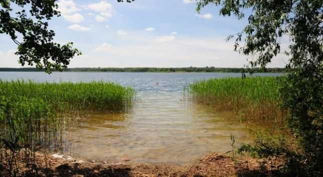 Domek w Kosewie tanio!!! Jezioro powidzkie