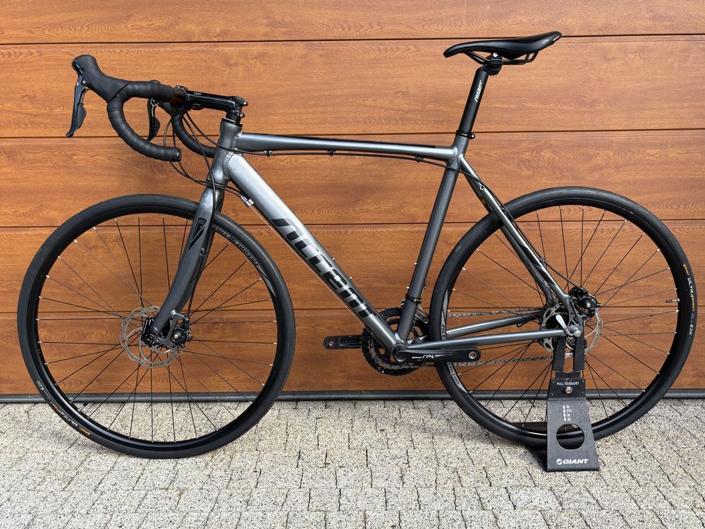 Gravel Accent Falcon