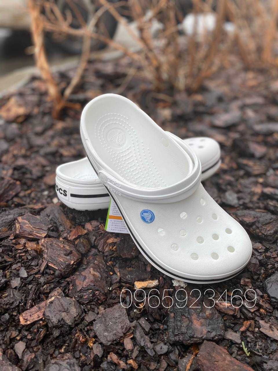 Купить Білосніжні крокс оригінал Crocs Crocband Clog 36-45 Джибітси