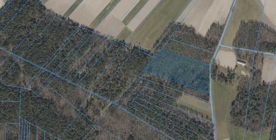 Las mieszany Brzeźnica