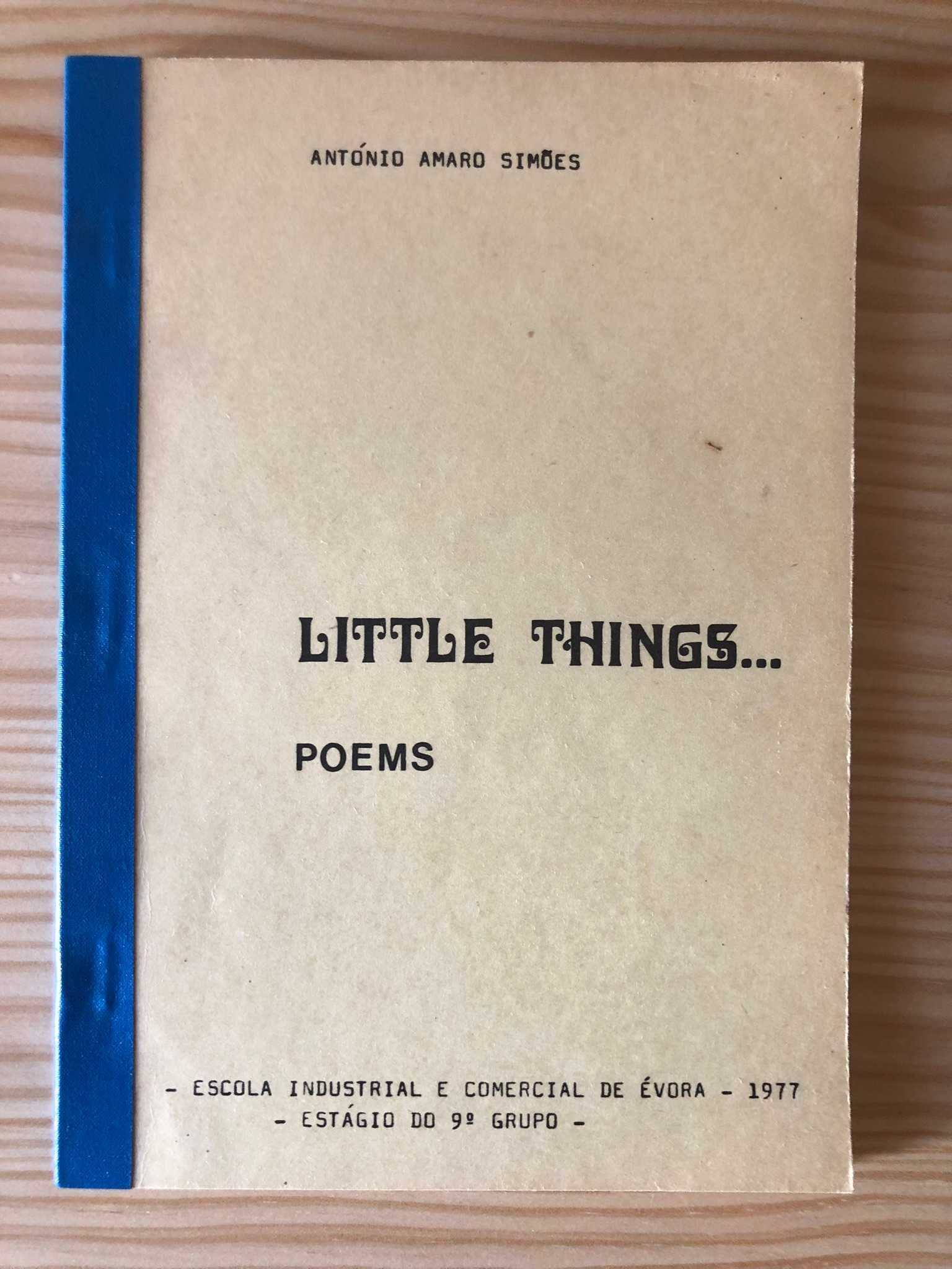 Little Things c/ dedicatória da autor - António Amaro Simões