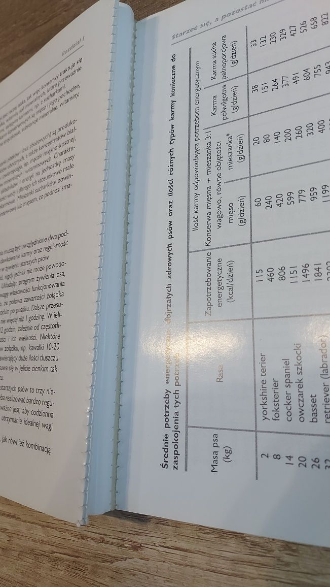 Przedłuż życie swojemu psu geriatria psów- K. Anusz