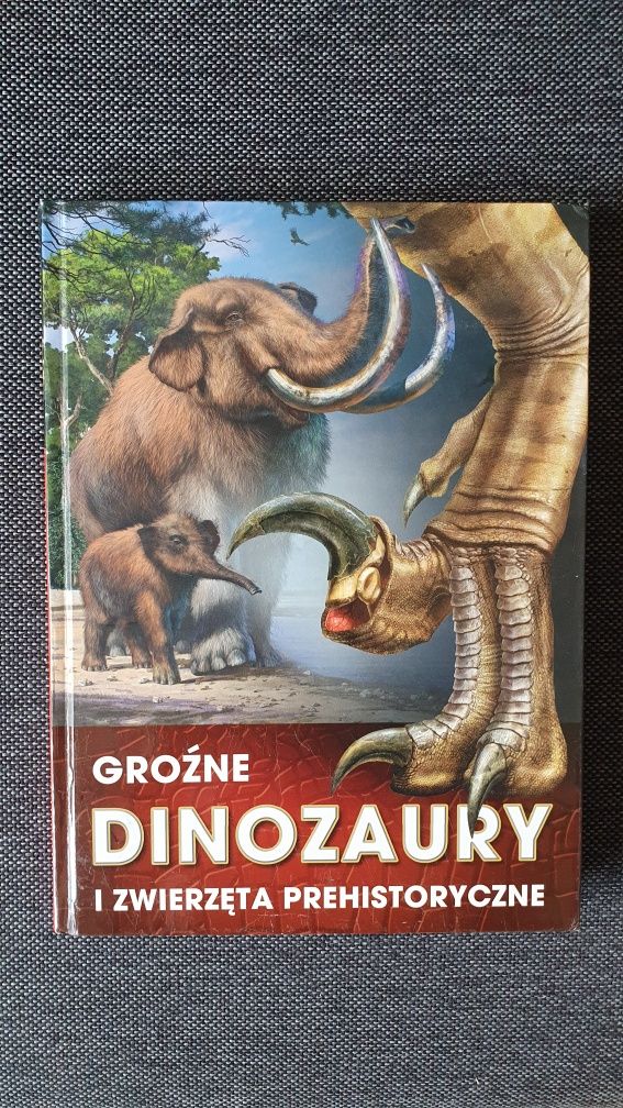 Zestaw dwóch książek o dinozaurach. Okazja